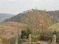 DSCN0407