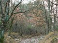 DSC00765