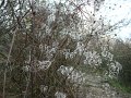 DSC00768