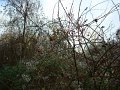 DSC00769