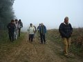 DSC00782