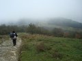 DSC00783