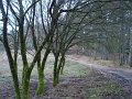 DSC00788