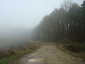 DSC00793