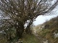 DSC00798