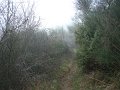 DSC00801