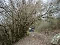 DSC00816