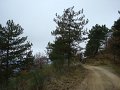 DSC00831
