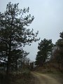 DSC00832