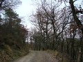 DSC00836