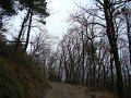 DSC00838
