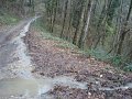 DSC00868