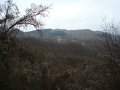 DSC00870