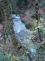 DSC00894