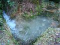 DSC00900
