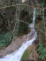 DSC00915