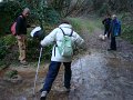 DSC00919