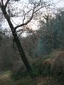 DSC00931