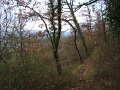 DSC00933