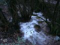 DSC00952