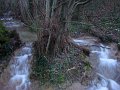 DSC00954