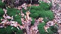 20131117_112751