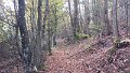 20131117_112826