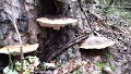 20131117_133043