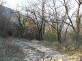 DSCN5137