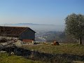 DSCN5140