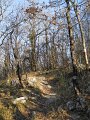 DSCN5145