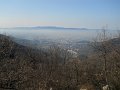 DSCN5146