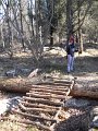 DSCN5168