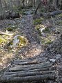 DSCN5171