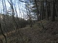DSCN5200