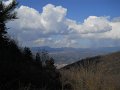 DSCN5201