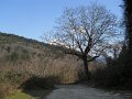 DSCN5219