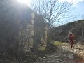 DSCN5220