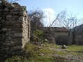 DSCN5221