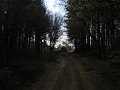 DSCN5264