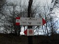DSCN5272
