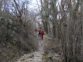 DSCN5274
