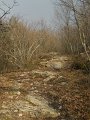 DSCN5277