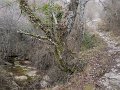 DSCN5280