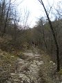 DSCN5281
