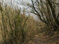 DSCN5284