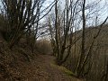 DSCN5291
