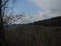 DSCN5292