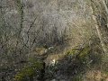 DSCN5296