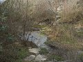 DSCN5299
